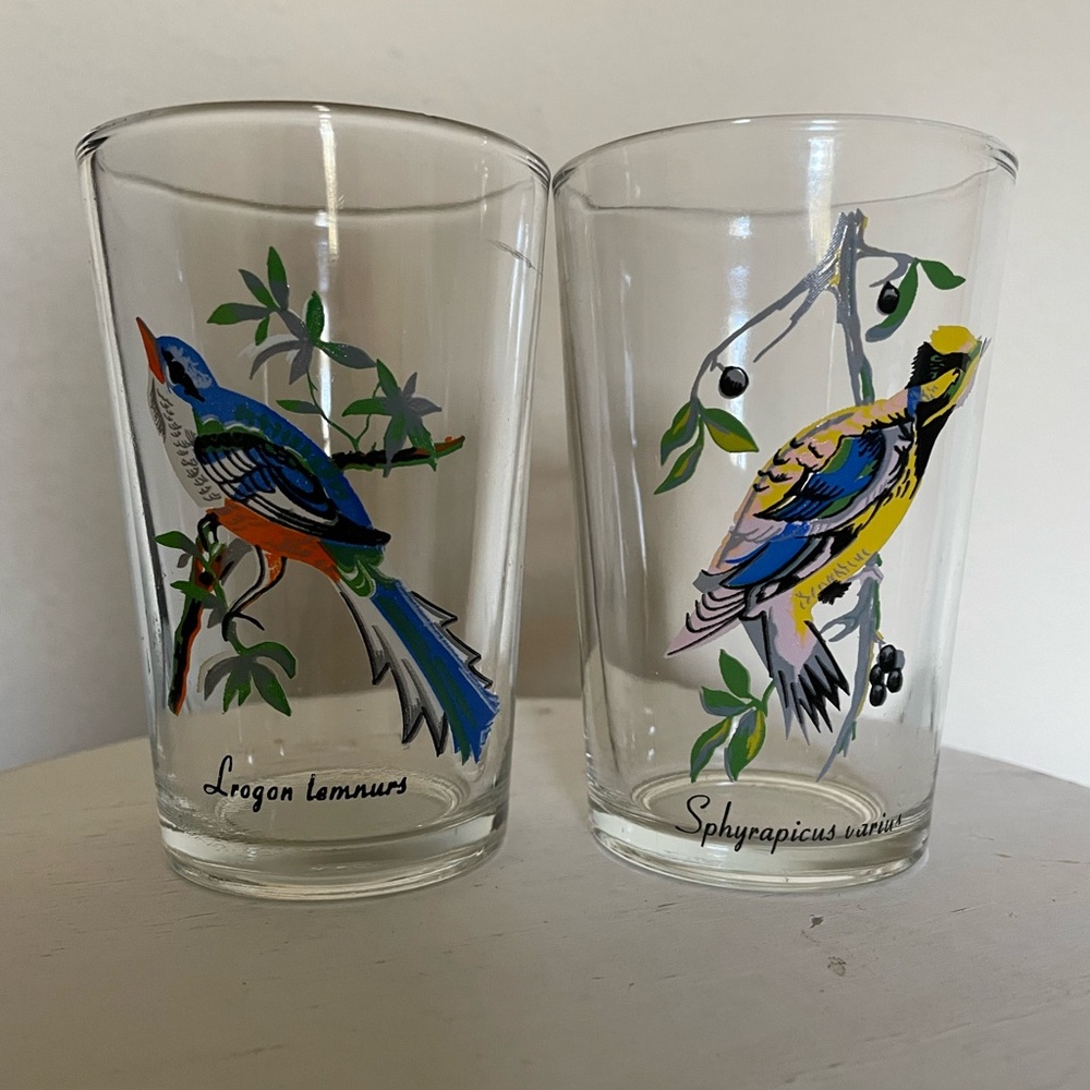 Vintage Malaysia exotic bird drinking glasses.